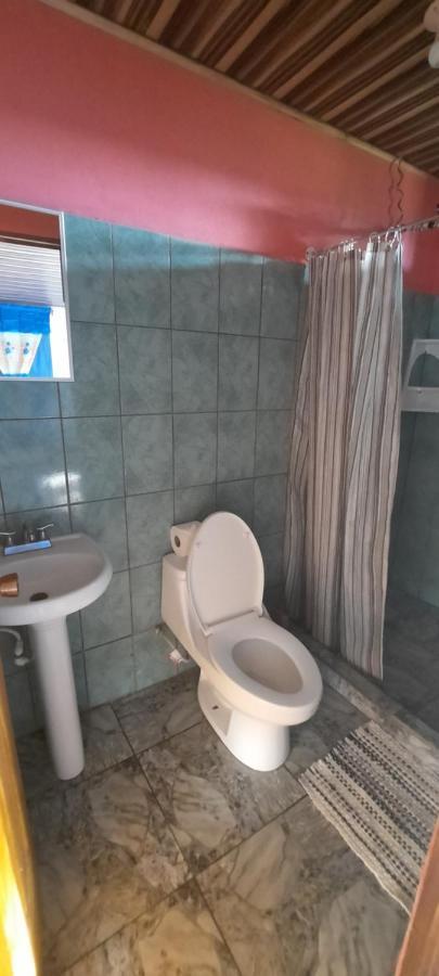 Bed and Breakfast Casa Caribe Tortuguero Exterior foto