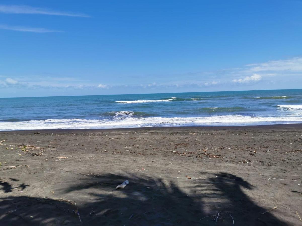 Bed and Breakfast Casa Caribe Tortuguero Exterior foto