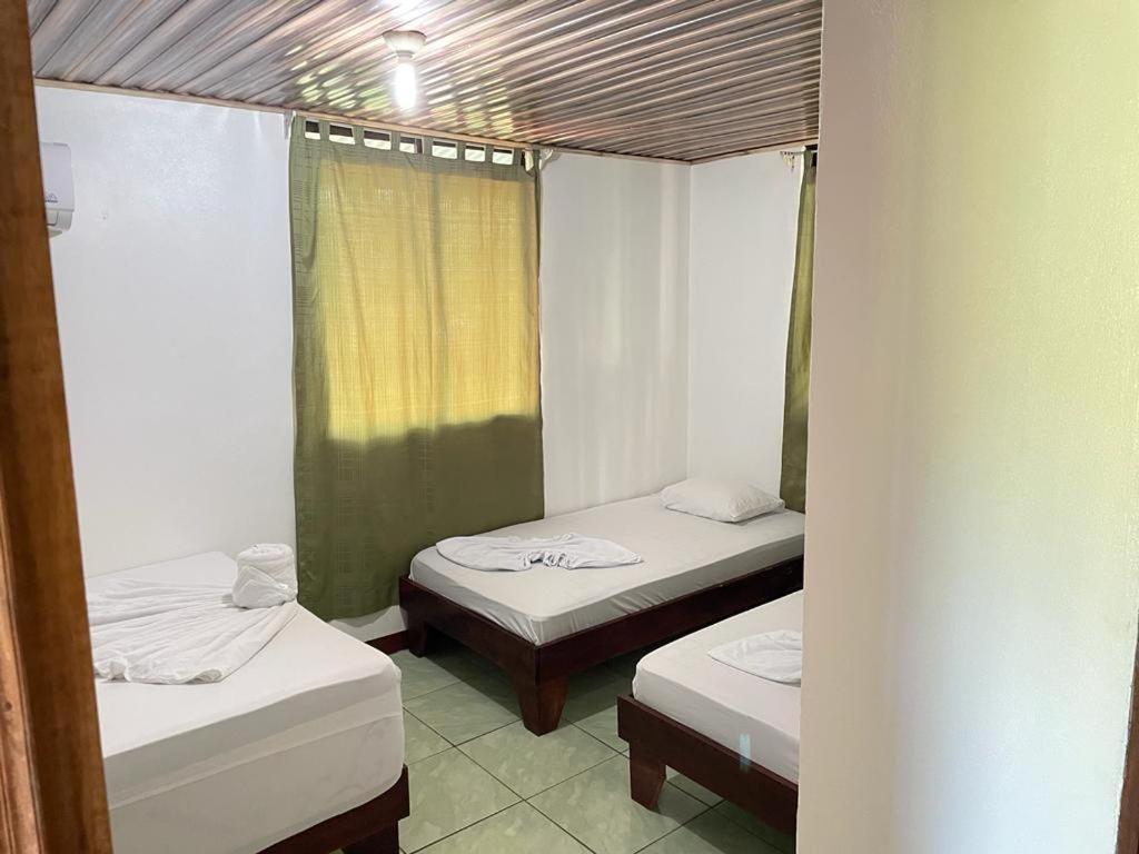 Bed and Breakfast Casa Caribe Tortuguero Exterior foto