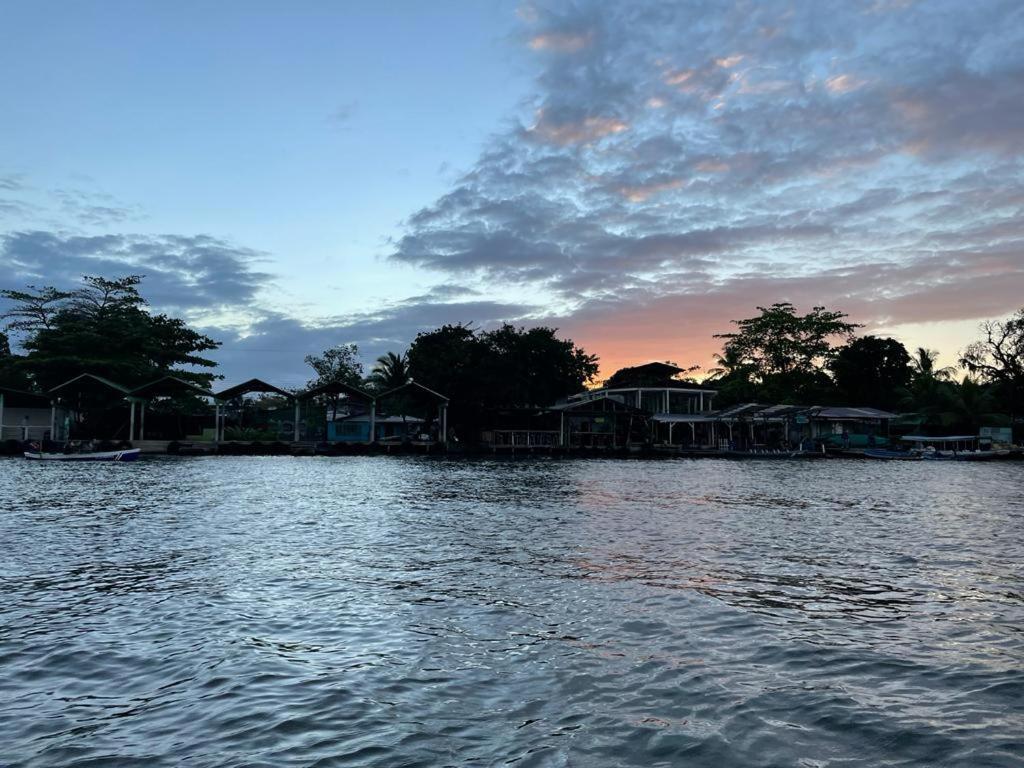 Bed and Breakfast Casa Caribe Tortuguero Exterior foto