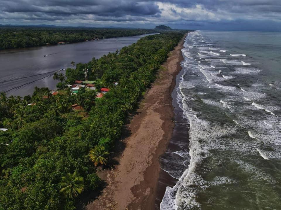 Bed and Breakfast Casa Caribe Tortuguero Exterior foto