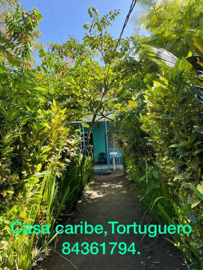 Bed and Breakfast Casa Caribe Tortuguero Exterior foto